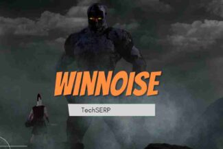 winnoise