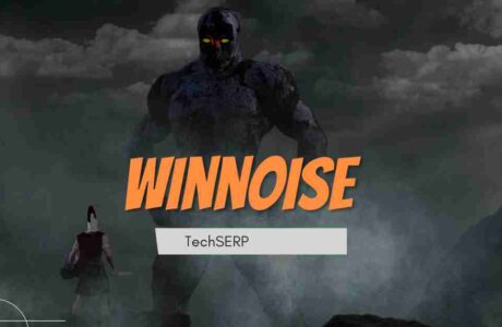 winnoise